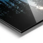 poster ciel etoile sous les arbres aluminium.webp