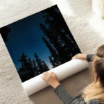 poster ciel etoile sous les arbres au sol.webp