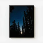 poster ciel etoile sous les arbres avec cadre.webp
