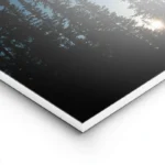 poster ciel etoile sous les arbres lightpanel.webp