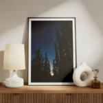 poster ciel etoile sous les arbres meuble.webp