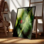 poster coccinelle rouge encadre.webp