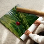 poster coccinelle rouge enroule.webp