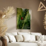 poster coccinelle rouge salon.webp