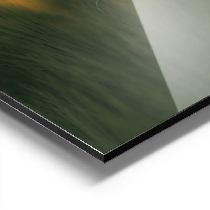 Image galerie 9