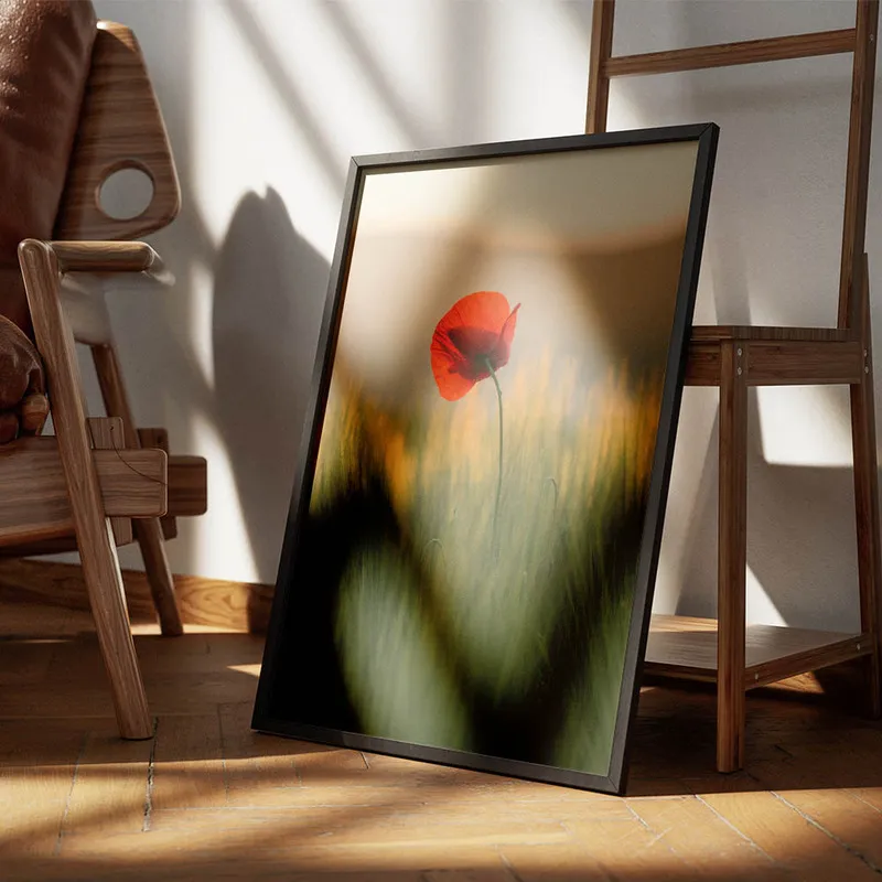 Image galerie 4