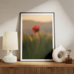 poster coquelicot rouge meuble.webp