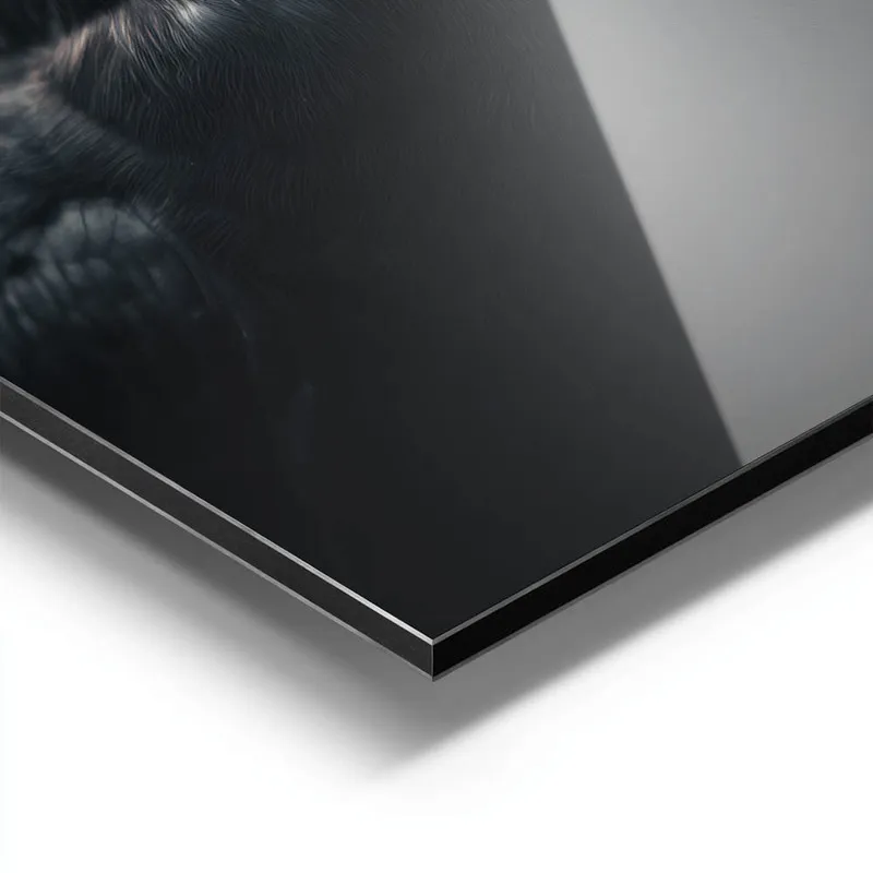 poster corbeau hyperrealiste aluminium.webp