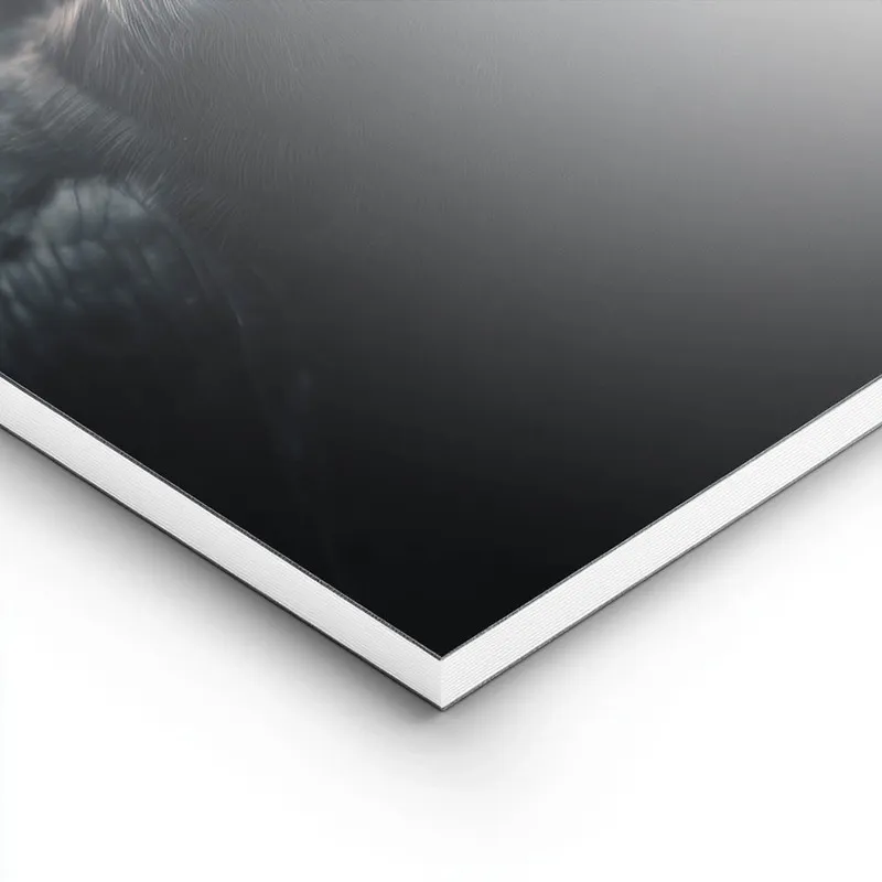 poster corbeau hyperrealiste lightpanel.webp