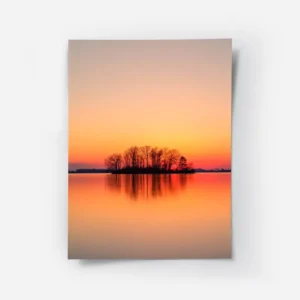 poster coucher de soleil avec arbres.webp
