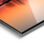 poster coucher de soleil avec arbres aluminium.webp