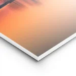 poster coucher de soleil avec arbres lightpanel.webp