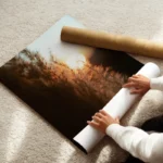 poster coucher de soleil sur herbe haute enroule.webp