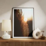 poster coucher de soleil sur herbe haute meuble.webp