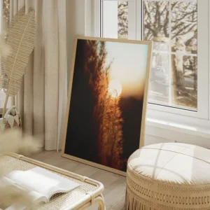 poster coucher de soleil sur herbe haute salon beige.webp