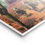 poster cowboy astral lightpanel.webp