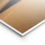 poster desert dore lightpanel.webp