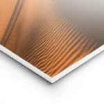 poster desert oasis sable lightpanel.webp
