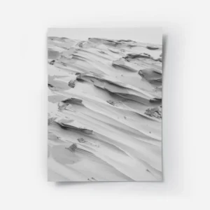 poster dune en noir et blanc.webp