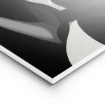 poster femme chapeau noir et blanc lightpanel.webp