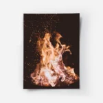 poster feu de camp.webp