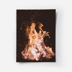 poster feu de camp.webp