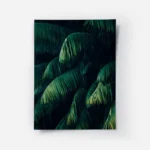 poster feuillage de palmier vert.webp