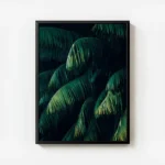 poster feuillage de palmier vert avec cadre.webp