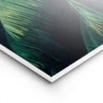 poster feuillage de palmier vert lightpanel.webp