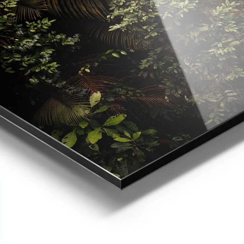 Image galerie 9