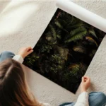 poster feuillage tropical en rouleau.webp