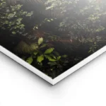 poster feuillage tropical lightpanel.webp