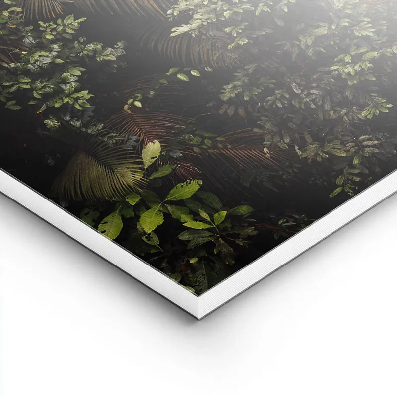 Image galerie 8