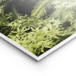 poster feuillage tropical vert lightpanel.webp