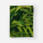 poster feuillage vert.webp