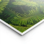 poster feuillage vert lightpanel.webp