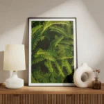 poster feuillage vert meuble.webp