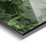 poster feuillage vert texture aluminium.webp