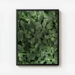 poster feuillage vert texture avec cadre.webp