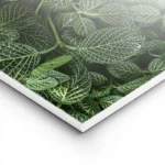 poster feuillage vert texture lightpanel.webp