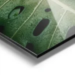poster feuille verte avec gouttes d eau aluminium.webp