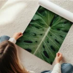 poster feuille verte avec gouttes d eau en rouleau.webp