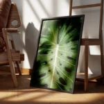 poster feuille verte avec gouttes d eau encadre.webp