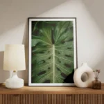 poster feuille verte avec gouttes d eau meuble.webp