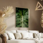 poster feuille verte avec gouttes d eau salon.webp