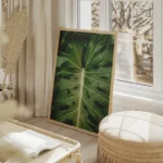 poster feuille verte avec gouttes d eau salon beige.webp