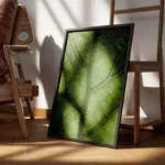 poster feuille verte encadre.webp