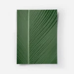 poster feuille verte texturee.webp