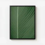 poster feuille verte texturee avec cadre.webp