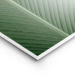 poster feuille verte texturee lightpanel.webp